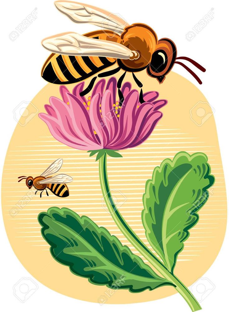735x1003 The Best Bee Clipart Ideas Cute Bee, Vector