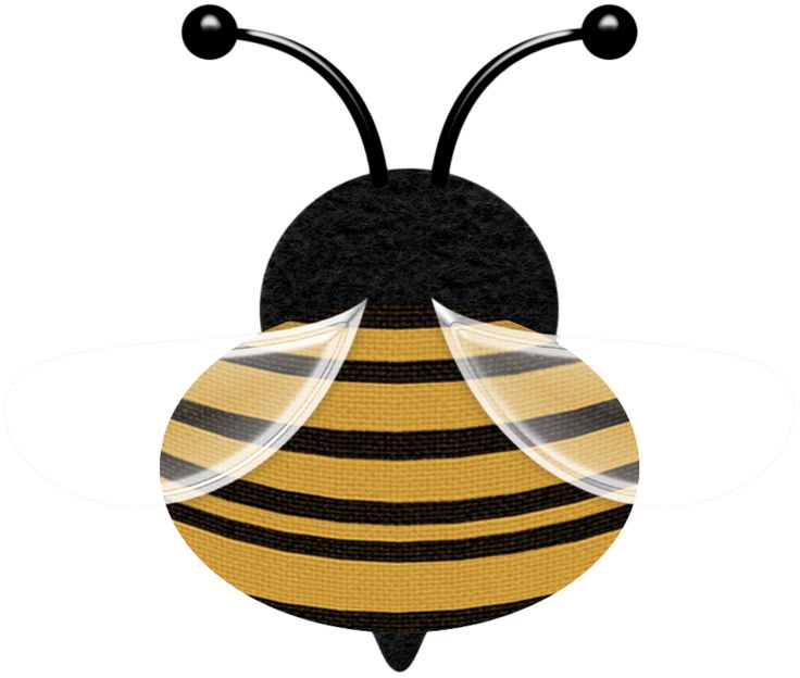 Bee Images