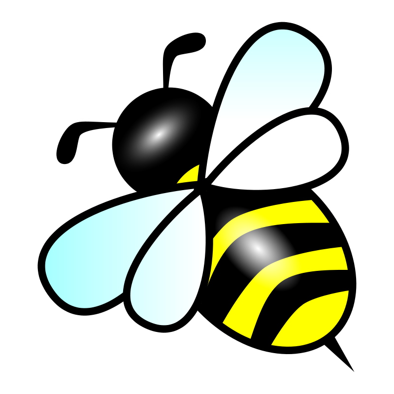 800x800 Bee Free Vector 4vector