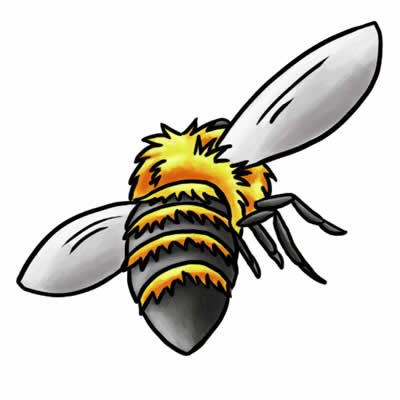 400x400 Carpenter Bee Clipart
