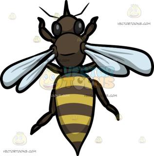 316x320 Bee Clipart