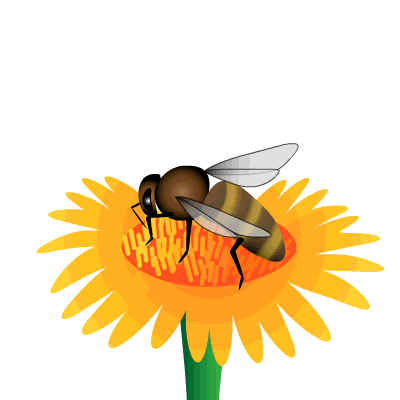 400x400 The Bee Project
