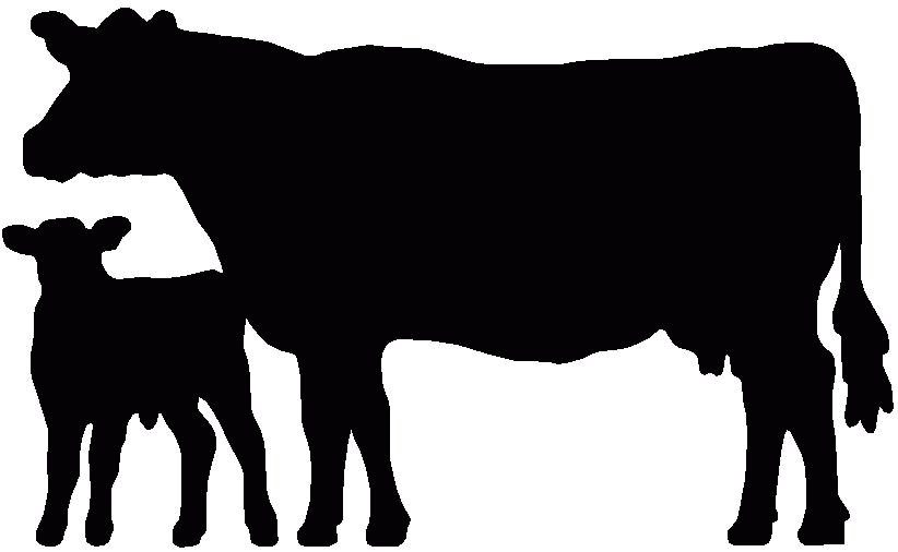 822x506 Cow Silhouette Clip Art Many Interesting Cliparts
