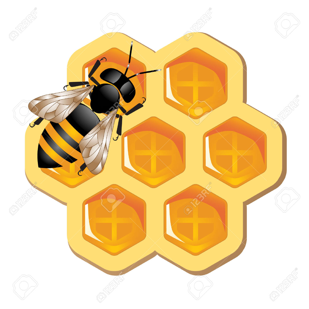 1300x1300 Bee Hive Clipart Honeycomb