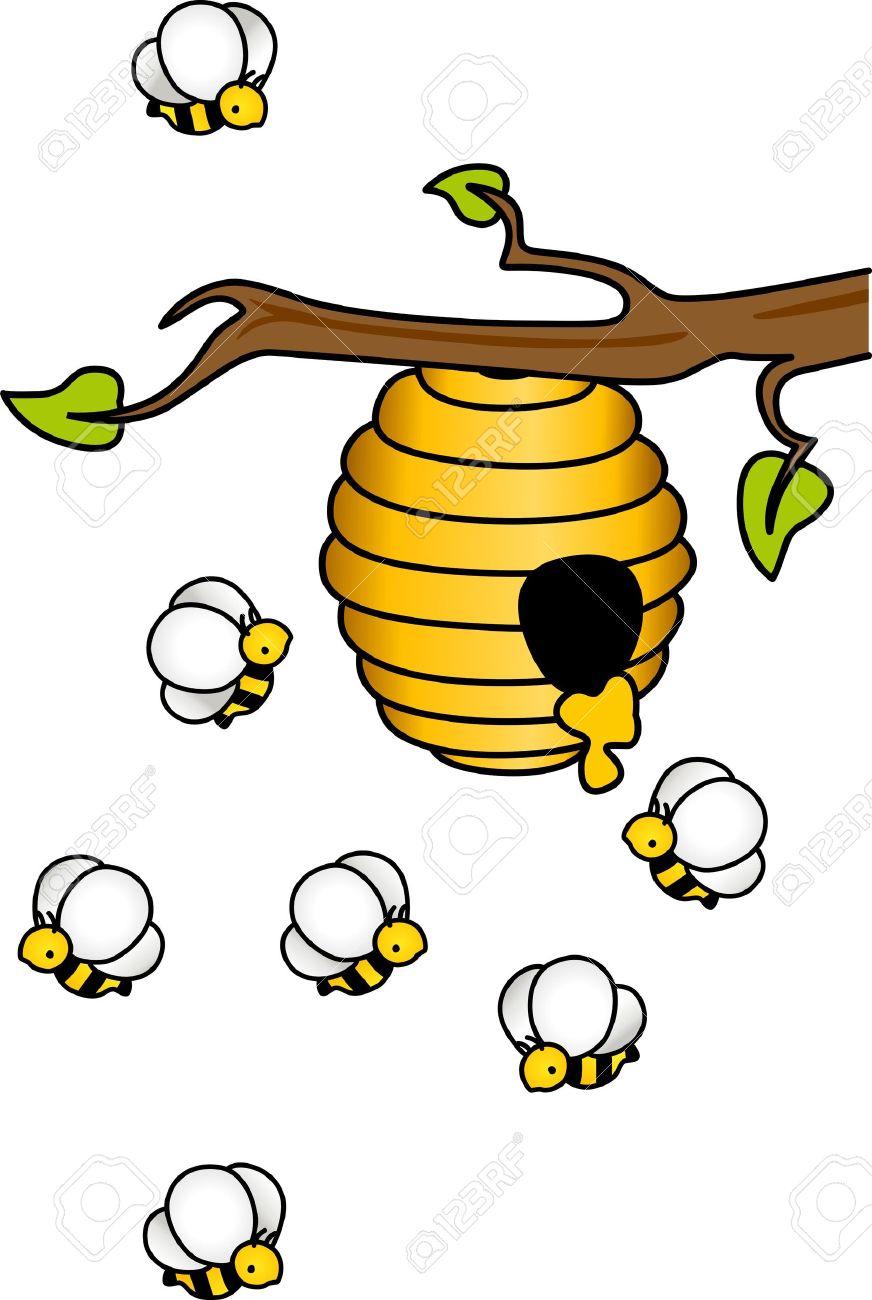 872x1300 Bee Hive Clipart Hornets Nest