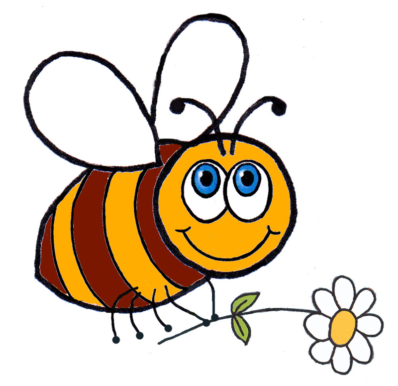 800x775 Bee Hive Clipart Lebah