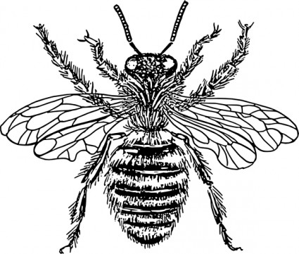 425x361 Beehive Bee Hive Clip Art Free Vector In Open Office Drawing Svg