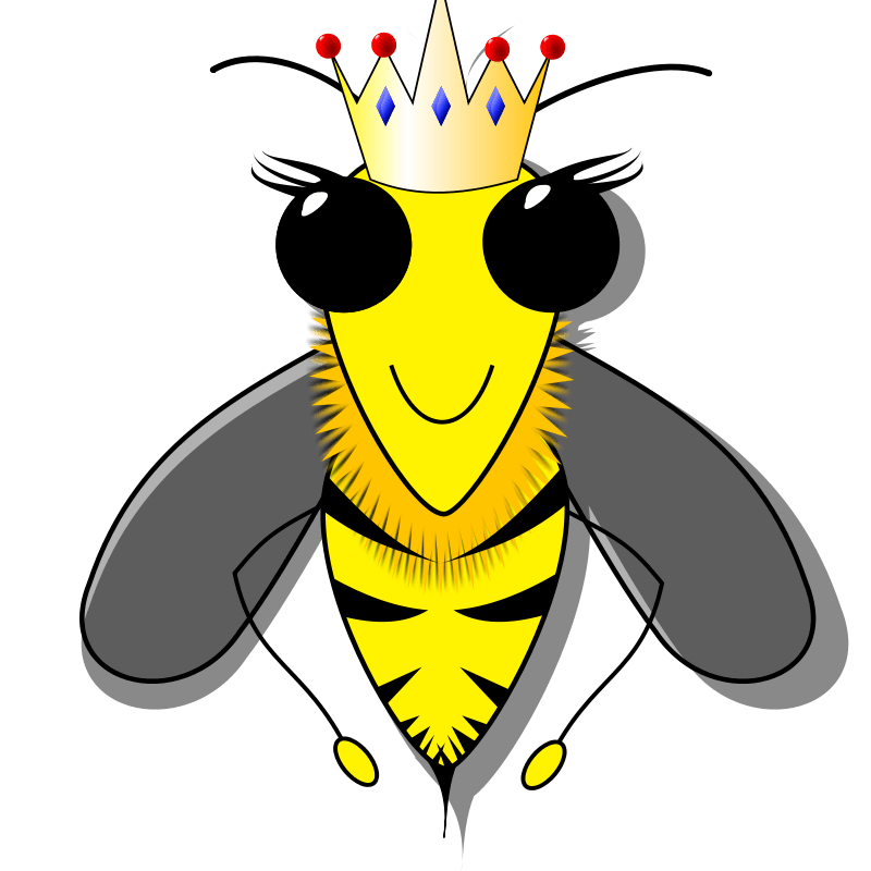 800x800 Beekeeper Cliparts