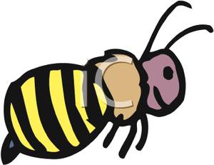 300x231 And White Bee Clipart Picture