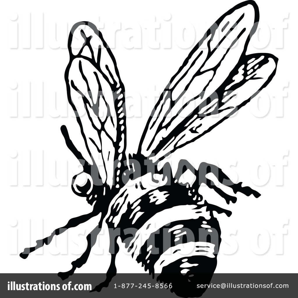 1024x1024 Bee Clipart