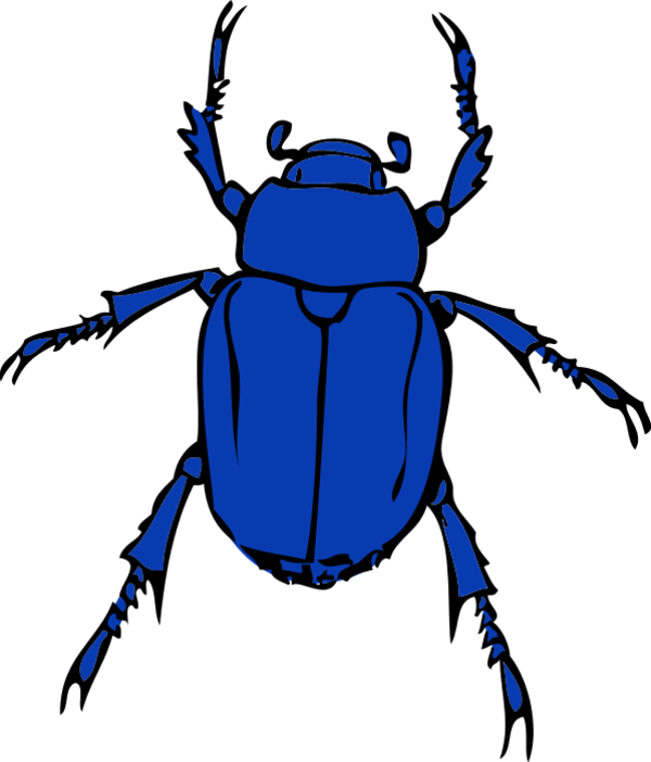 600x702 Beetle Clipart Bug