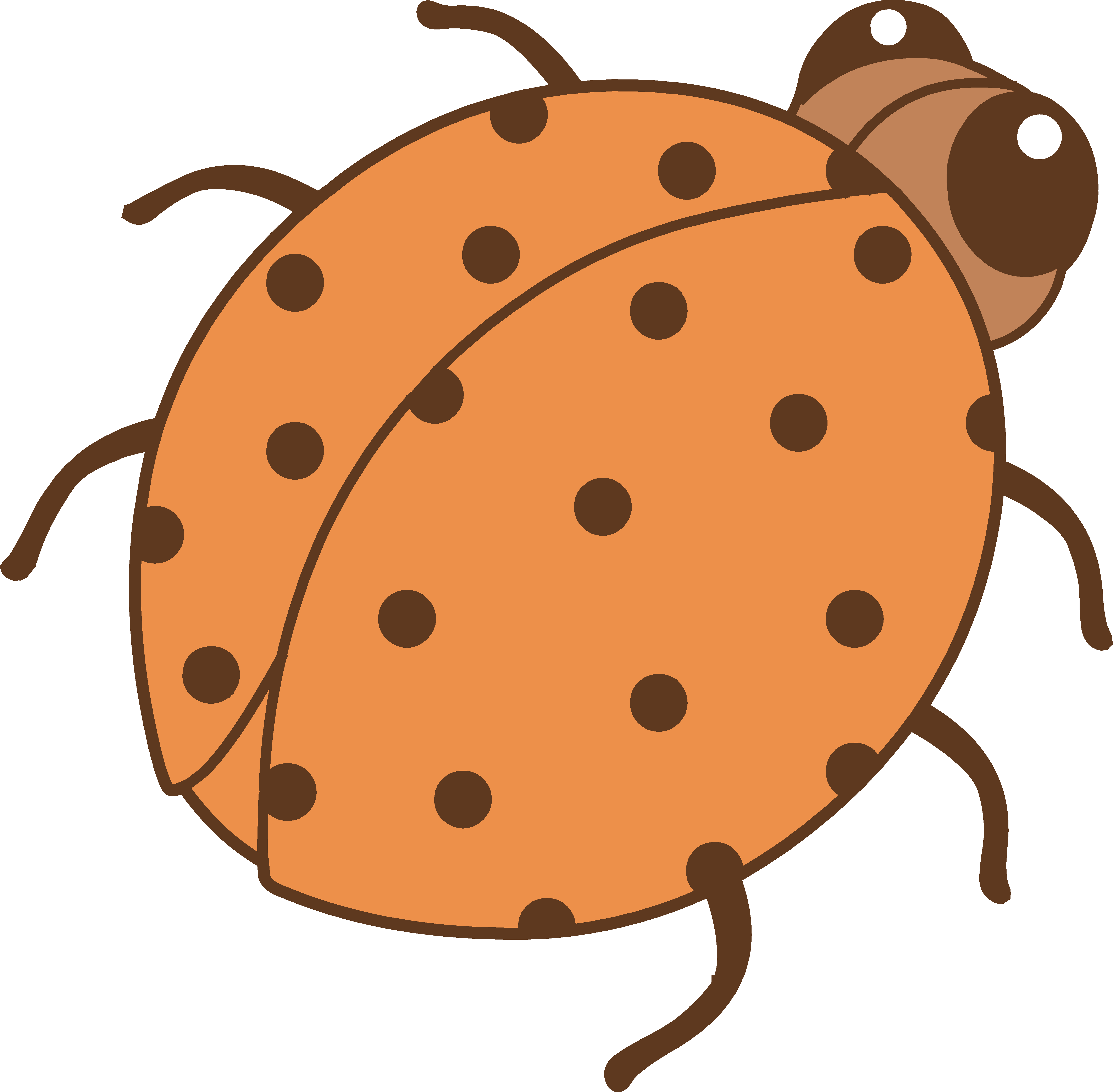 5364x5264 Beetle Clipart Orange