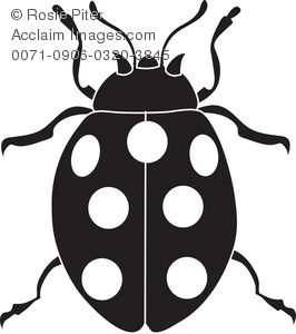 266x300 Clip Art Illustration Of A Spotted Beetle