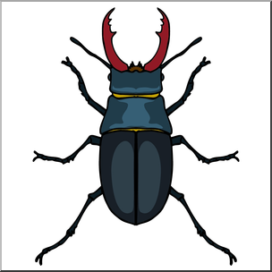 304x304 Clip Art Insects Stag Beetle Color I Abcteach
