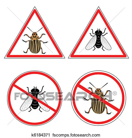 450x470 Clipart Of Fly And Colorado Potato Beetle K6184371