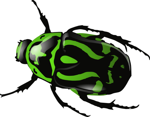 600x468 Green Beetle Clip Art