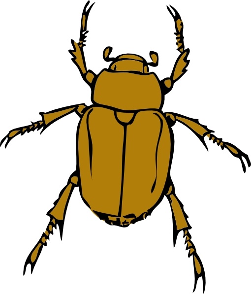 510x597 Beetle Bug Clip Art Free Vector In Open Office Drawing Svg ( Svg