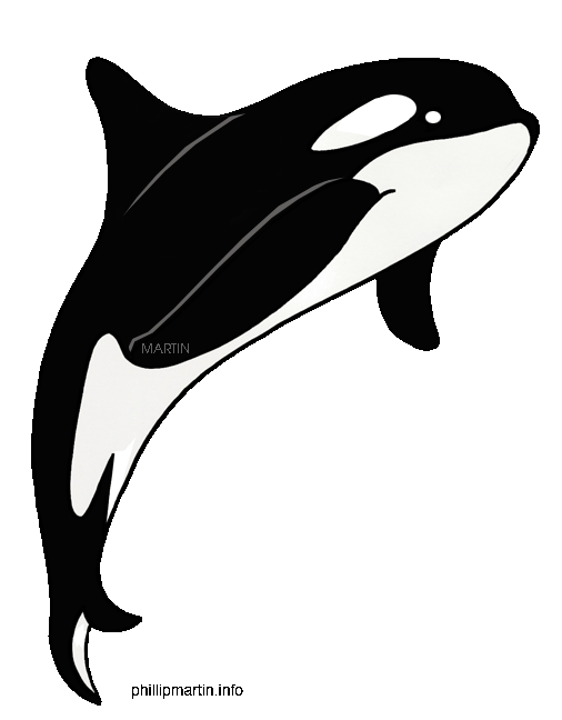 506x648 Whale Black And White Whale Black And White Clipart 3 Clipart