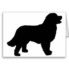236x236 Bernese Mountain Dog Clipart
