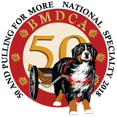 450x450 Bernese Mountain Dog Clipart Transparent