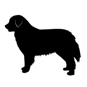 300x300 Bernese Clipart