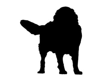 340x270 Bernese Decal Etsy