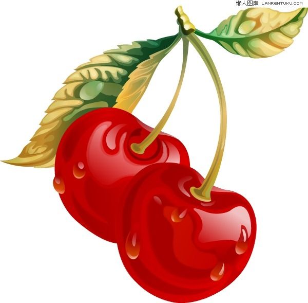 Berries Clipart