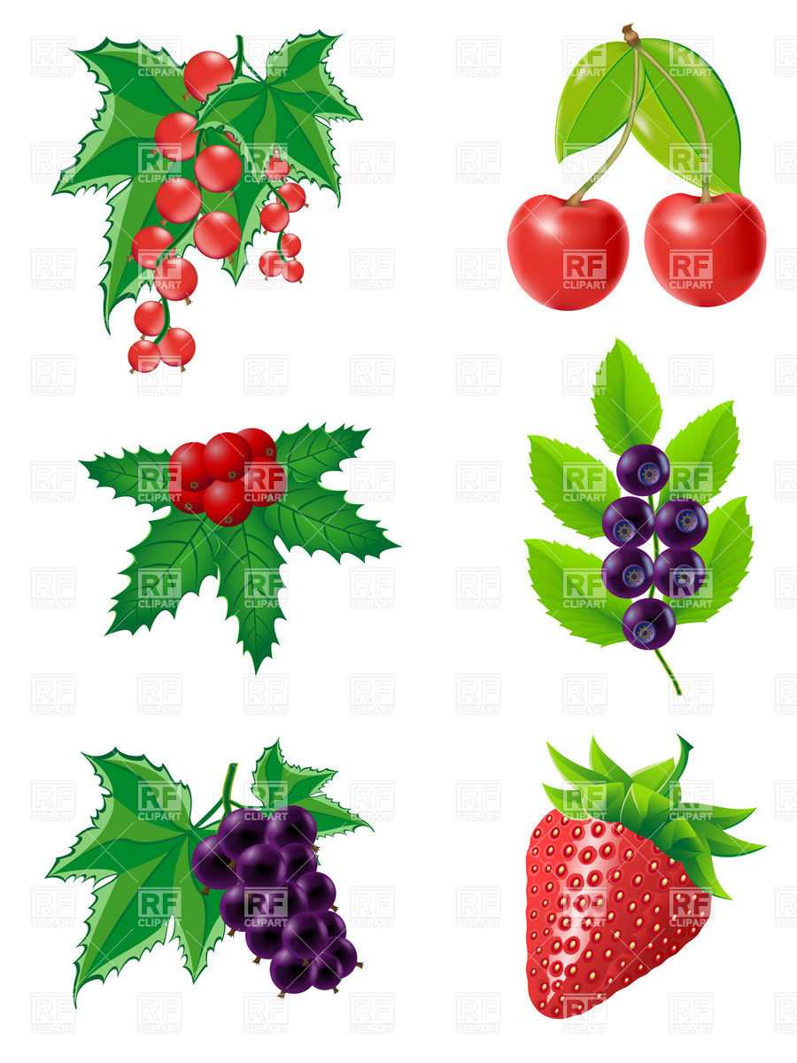 900x1200 Set Of Berries Royalty Free Vector Clip Art Image
