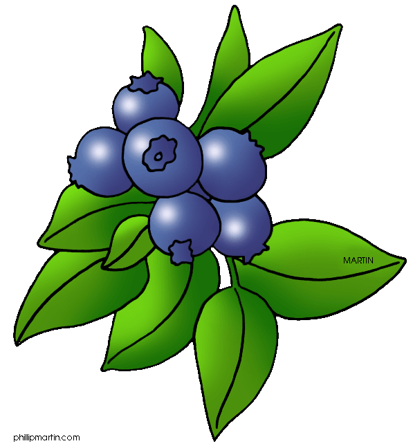 597x648 Berry Clipart Clipart Panda