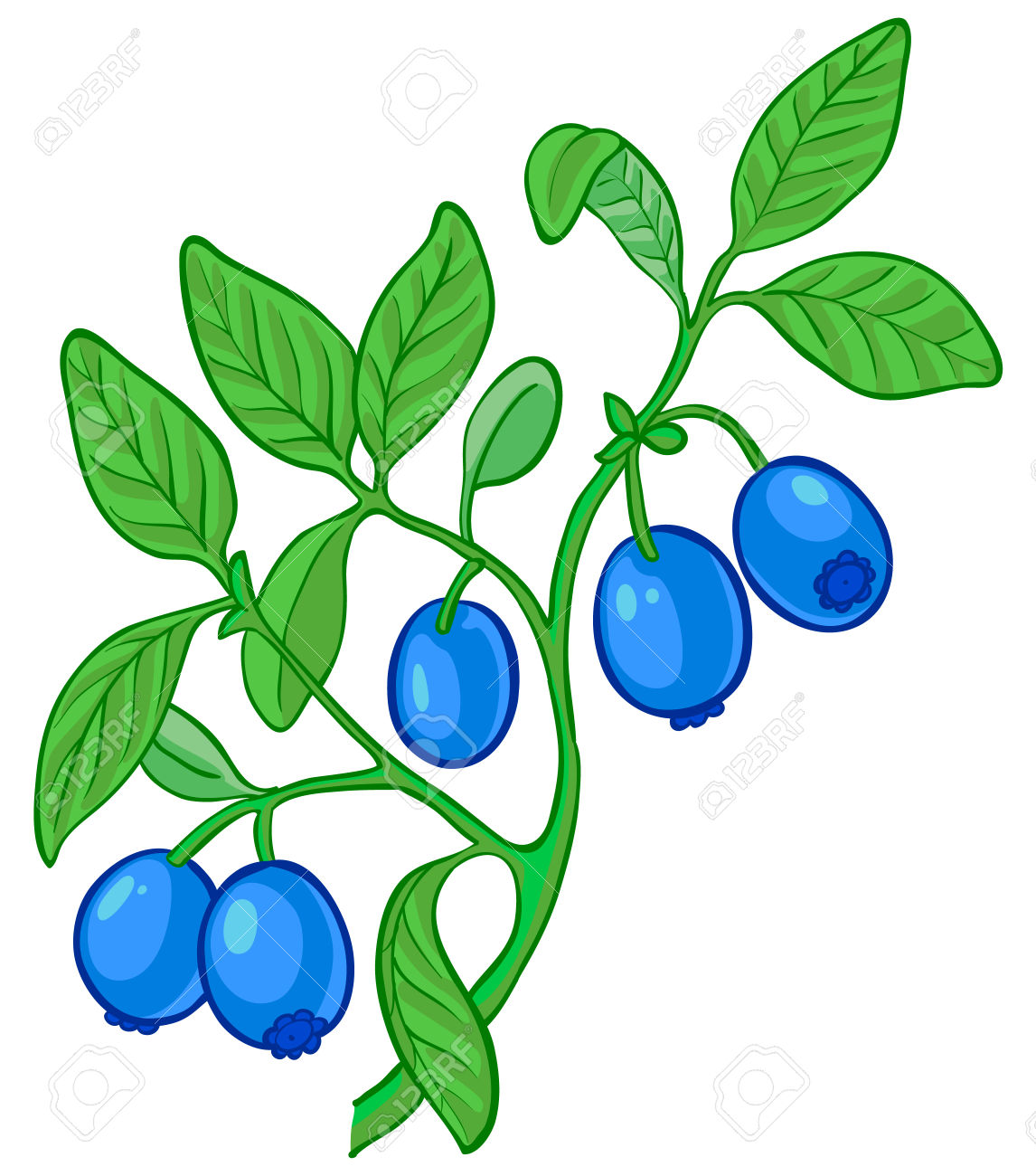 1146x1300 Berry Bush Clipart