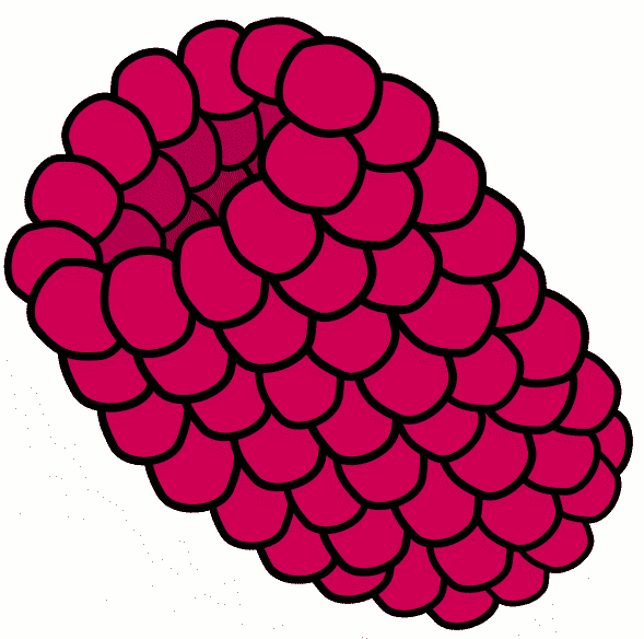 589x584 Berry Clipart Animated