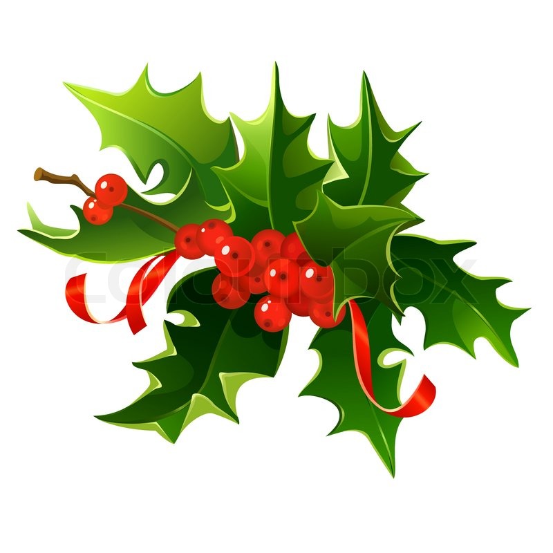 800x800 Berry Clipart Christmas Berries