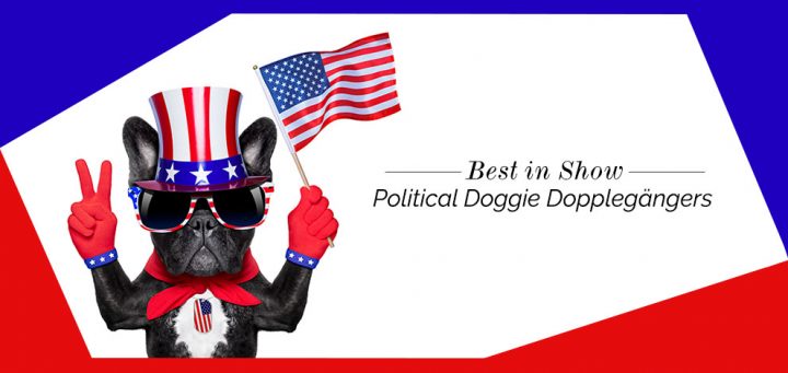 720x341 Best In Show