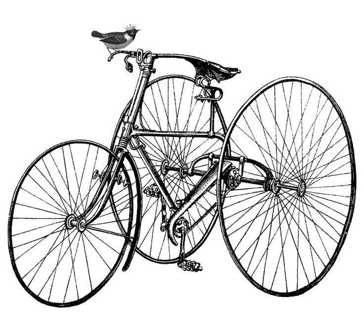 736x672 662 Best Bicycle Printable Transfers Images