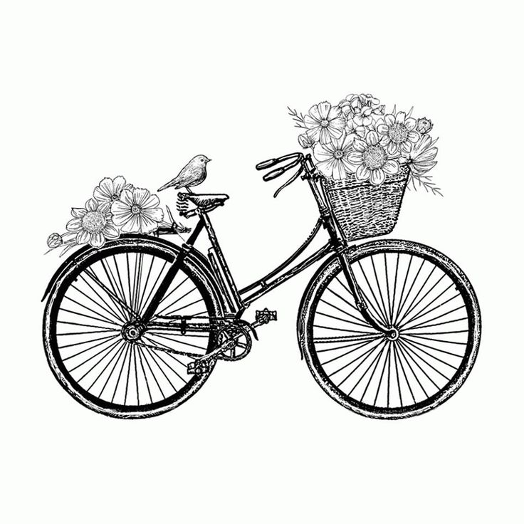 736x736 Best Bicycle Tattoo Ideas Cycling Tattoo, Bike