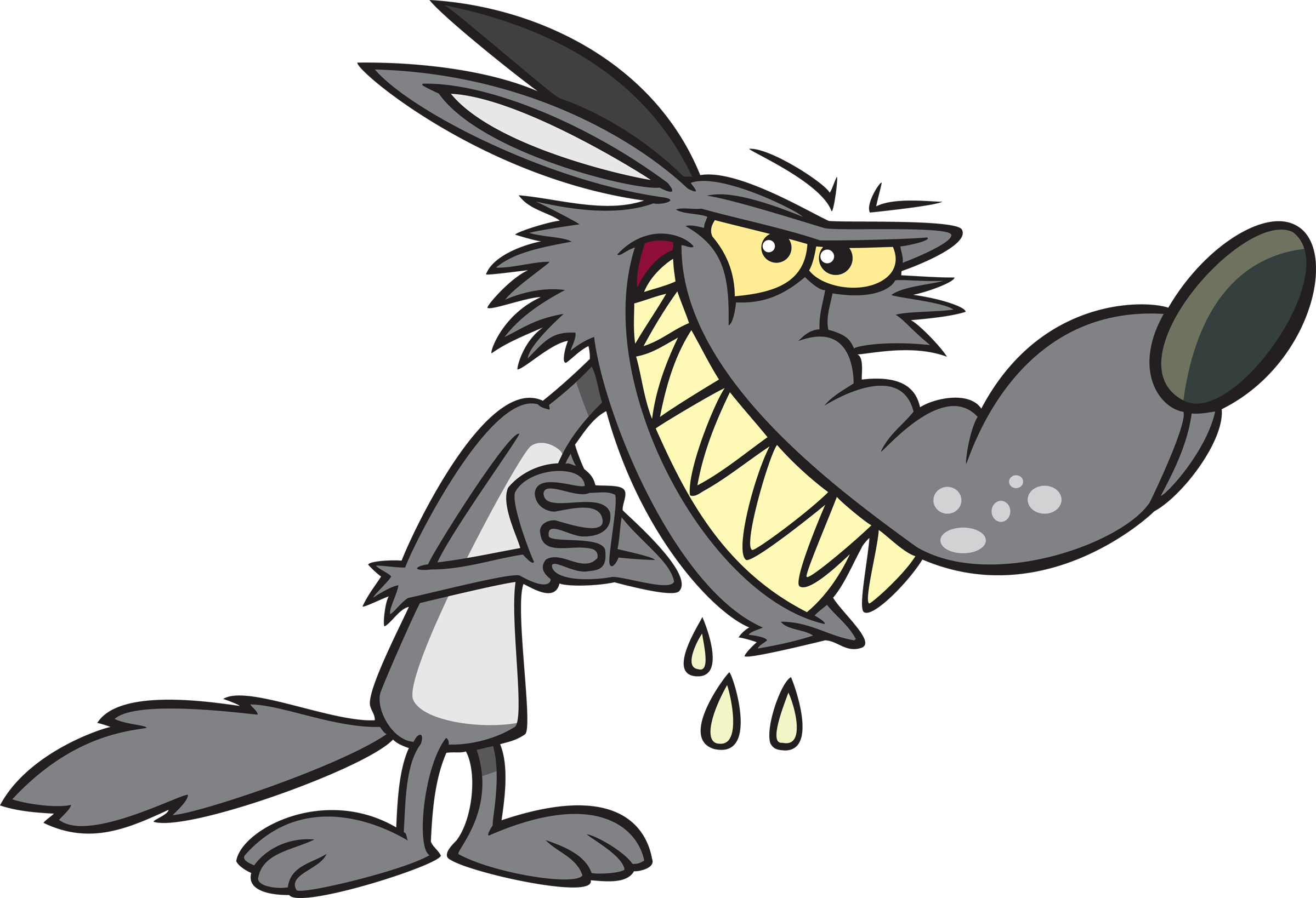2400x1639 Gray Wolf Clipart Bad Wolf