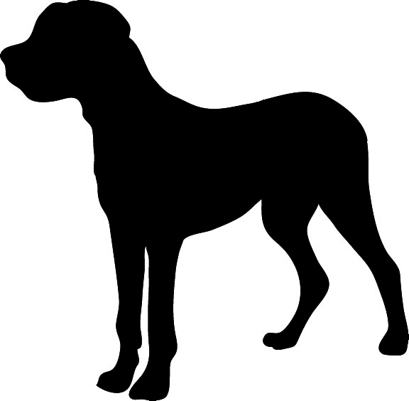 576x564 Great Dane Clipart Big Dog