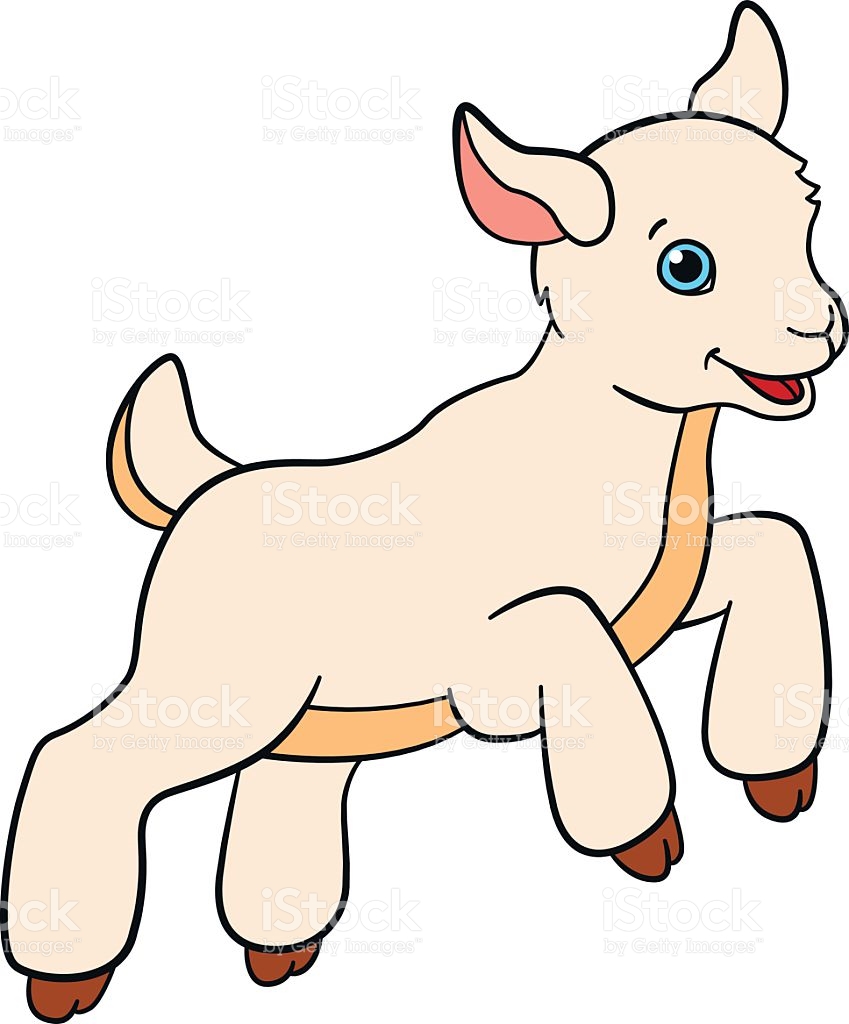 849x1024 Billy Goat Clipart Baby Goat