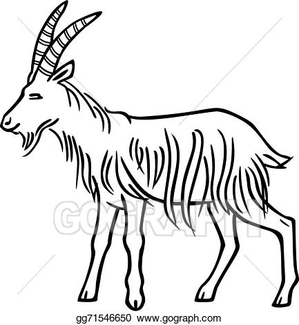 433x470 Vector Illustration