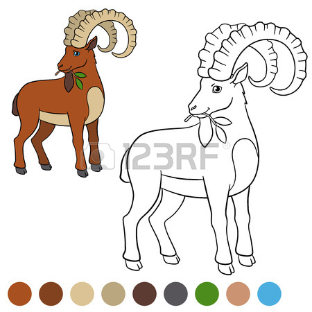 450x450 Billy Goat Clipart Ibex
