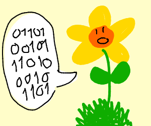 300x250 Flower Undertale