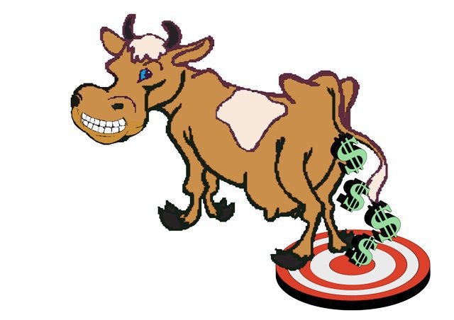 640x452 Cow Patty Bingo Providence Bay Fair