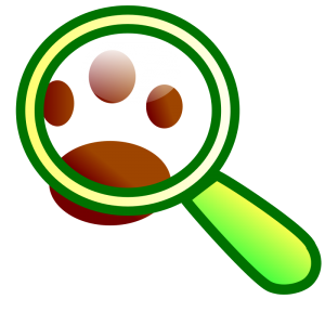 300x300 Binoculars Clip Art Download