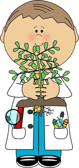 259x550 Bio Clipart Science Classroom