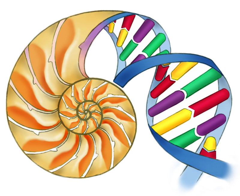 800x653 Biology Symbols Alder Grange Community Amp Technology School