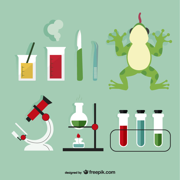 626x626 Biology Vectors, Photos And Psd Files Free Download