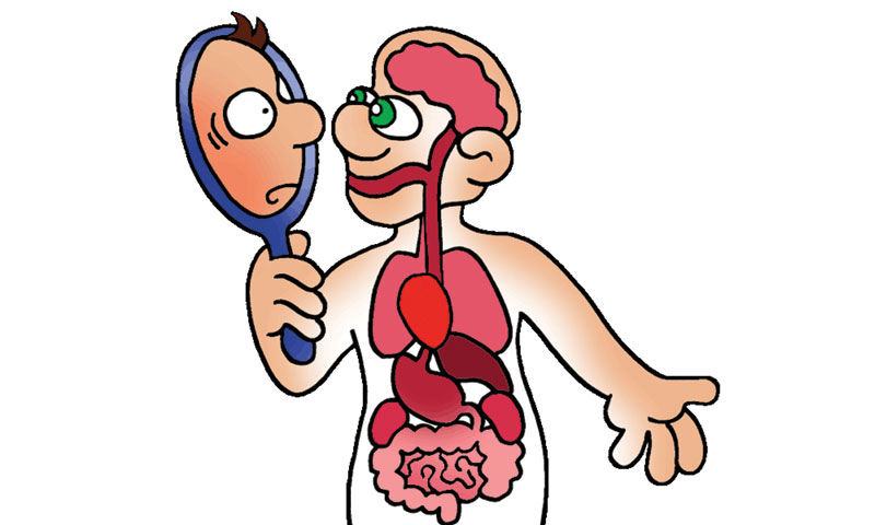 800x480 Quiz Human Biology