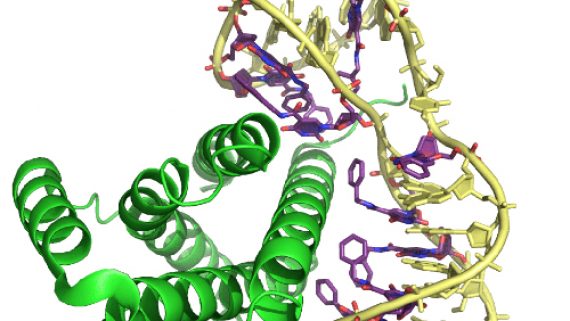 570x321 Structural Biology Archives