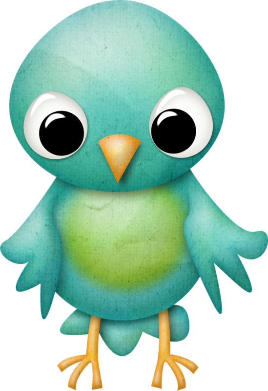 549x800 131 Best Birds And Bird Houses Images Hummingbirds