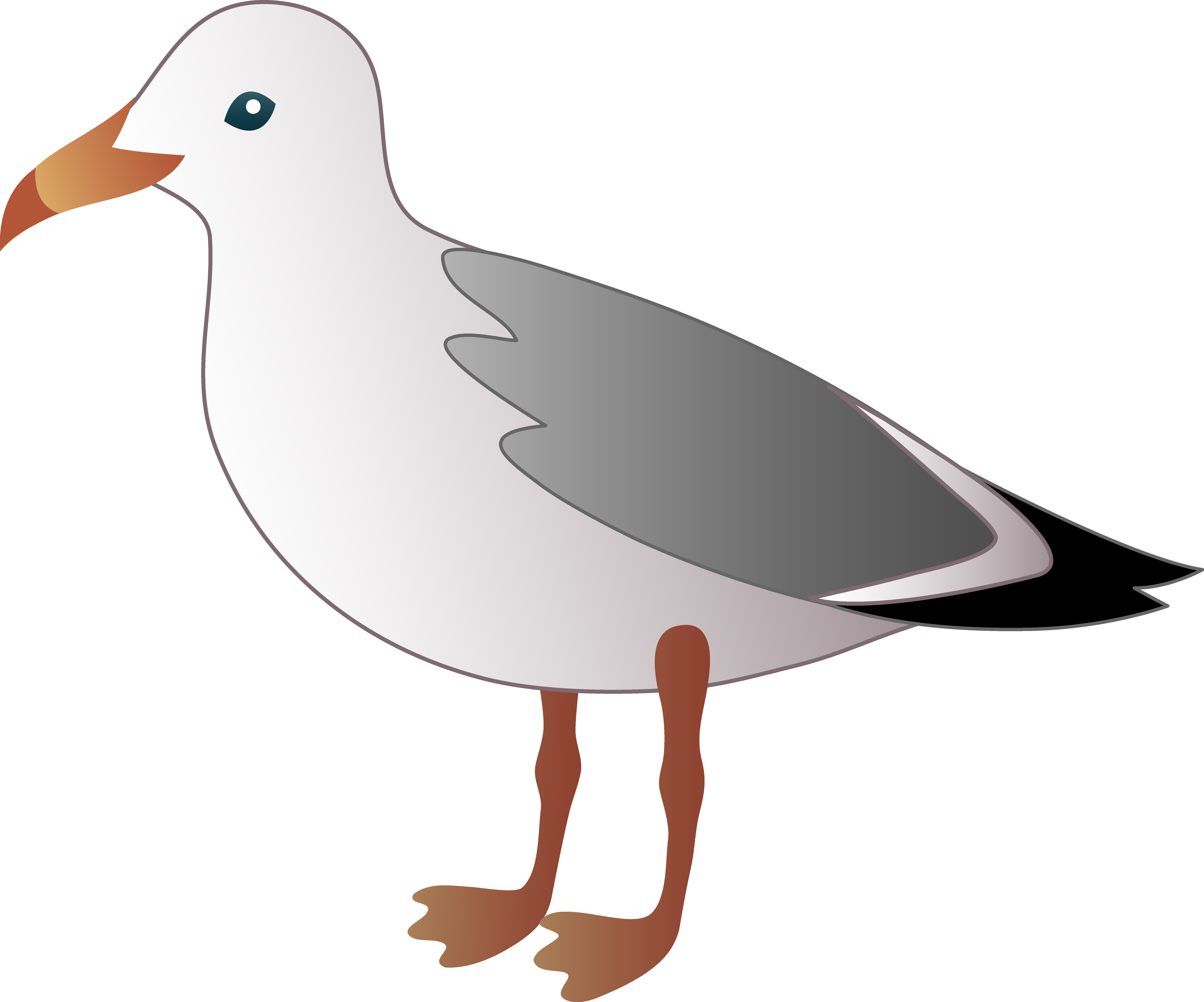 7458x6204 Animated Clipart Of Ocean Birds